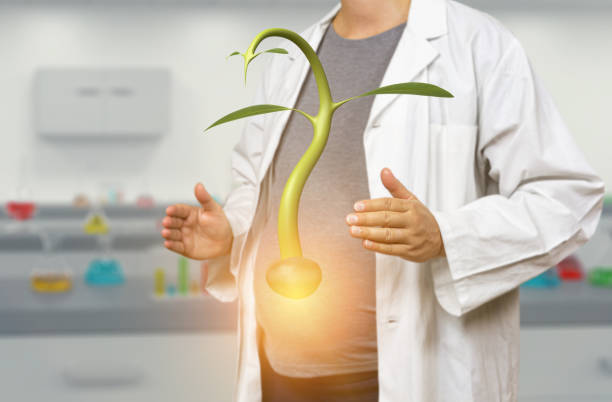 ぼやけた実験室の背景に種子を発芽させる妊娠中の白人女性科学者 - genetic modification genetic mutation genetic research vegetable ストックフォトと画像