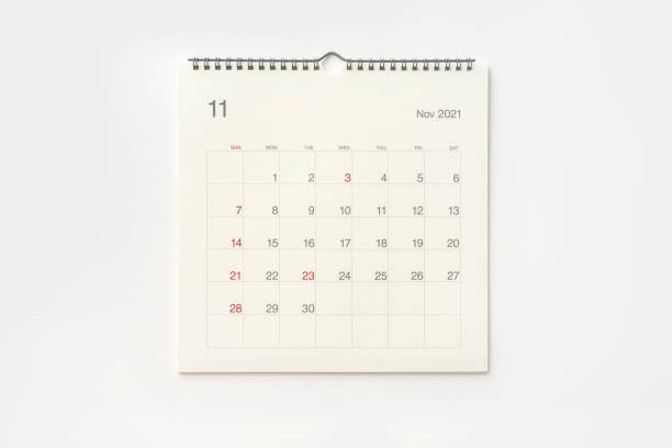 istock November 2021 calendar page on white background. 1298547299