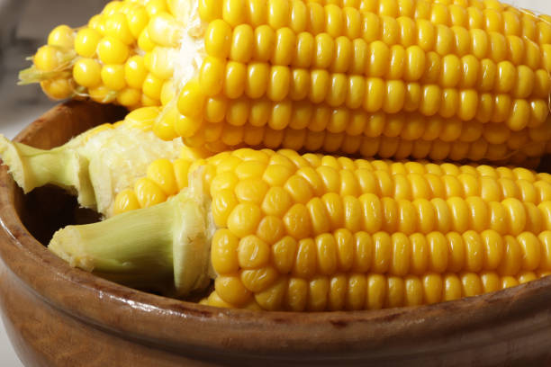 mais cotto, spuntino vegano sano - corn on the cob corn cooked boiled foto e immagini stock