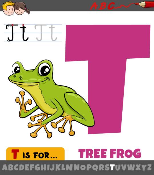illustrations, cliparts, dessins animés et icônes de lettre t de l’alphabet avec l’animal de grenouille d’arbre de dessin animé - letter t tree typescript alphabet