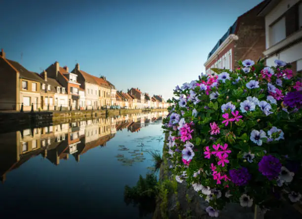flowers, canal and houses in saint-omer town