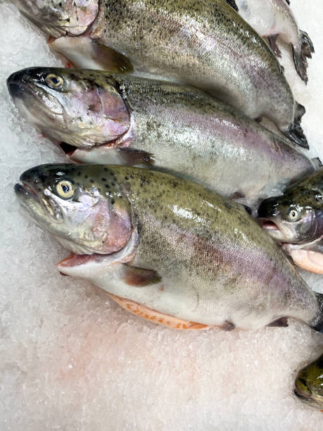istock Fresh fish on the market 1298556970