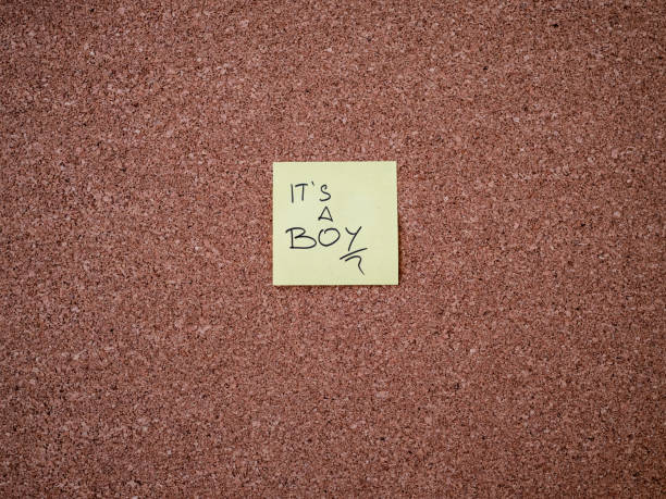 istock Adhesive note with it's a boy text on a bulletin board 1298557240