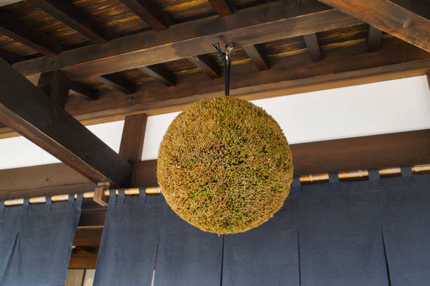 Sake A ball that informs you that new sake has been made cryptomeria japonica stock pictures, royalty-free photos & images