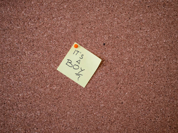 istock Adhesive note with it's a boy text pinned on a bulletin board 1298561371