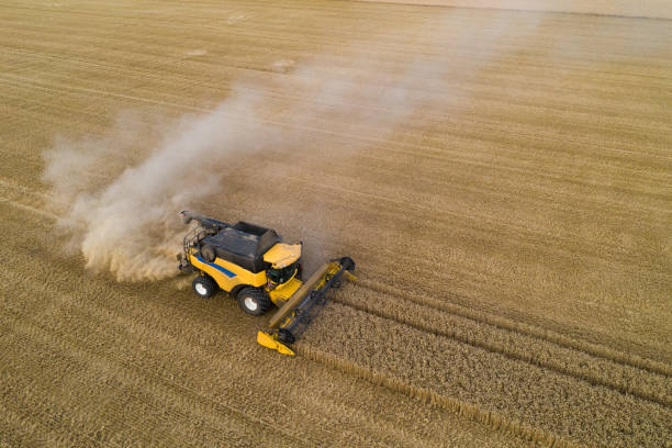 istock Wheat harvest in aerial view 1298564043