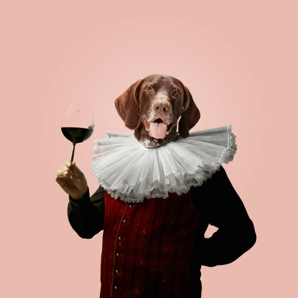 Model like medieval royalty person in vintage clothing headed by dog head. Concept of comparison of eras, artwork, renaissance, baroque style. Creative collage. Wine. Model like medieval royalty person in vintage clothing headed by dog head on pink pastel background. Concept of comparison of eras, artwork, renaissance, baroque style. Creative collage. prince royal person stock pictures, royalty-free photos & images