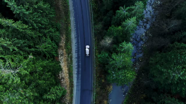 Aerial forest nature car road top view green summer woods tree car flight transportation, driving. Countryside, landscape, mountain highway beautiful scenic