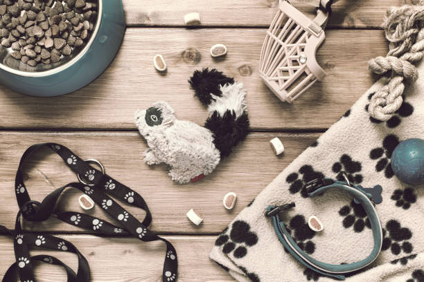 Pets accessories - collar, leash, muzzle, food bowl, toys, mat on a wooden background in vintage style. Flat lay stock photo