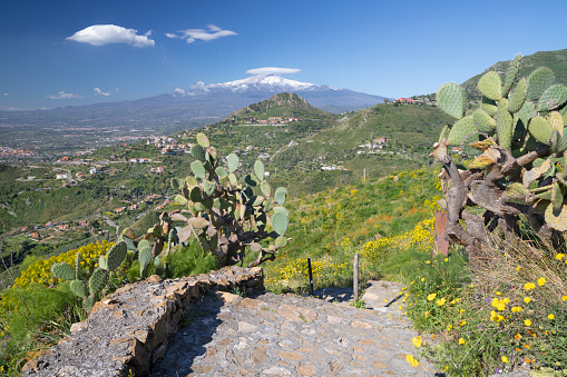 Taormina - The path among the spring mediterranean flowers and the Mt. Etna volcano.