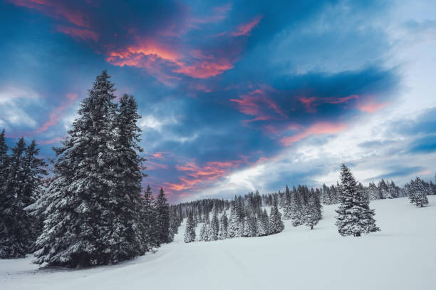 istock Winter Landscape Morning 1298575529