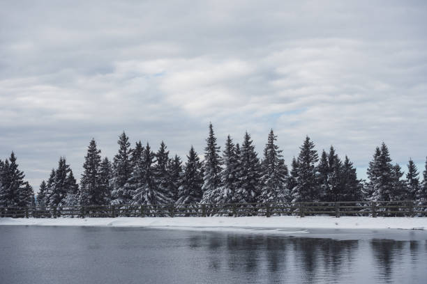 istock Landscape covered in snow 1298576613
