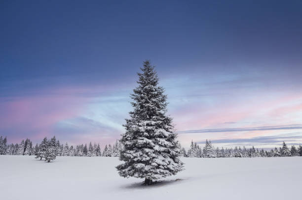 istock Perfect Winter Morning 1298576924