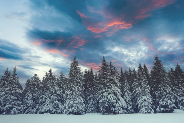istock Winter Landscape With Snowcapped Trees 1298576939