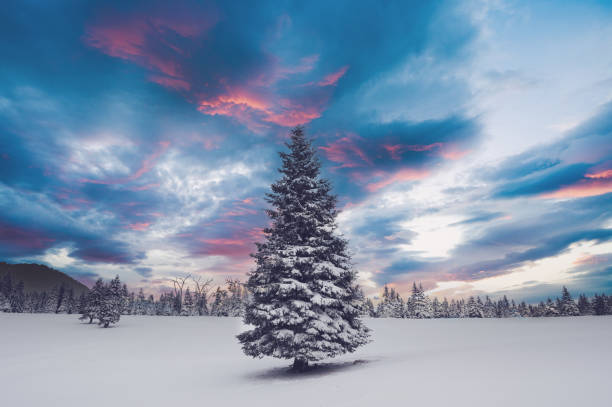 istock Calm Winter Morning 1298577275