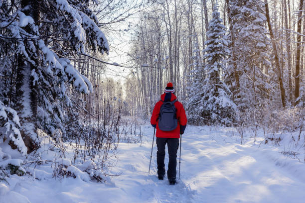 istock Backpacker hiking walking in winter forest. Nordic Walking In Winter. 1298577482