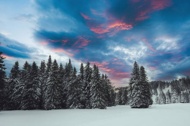 istock Beautiful Winter Morning 1298578496