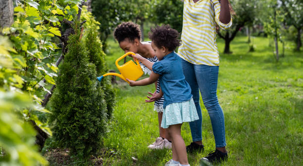 istock Young mother watering spruce tree with her two daughters 1298579344