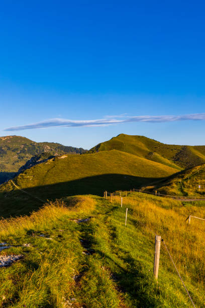 istock summer landscape near Monte Grappa, Northern Italy 1298579740