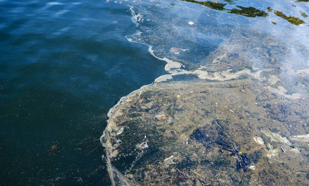 오일 및 쓰레기 오염. - pollution sea toxic waste garbage 뉴스 사진 이미지