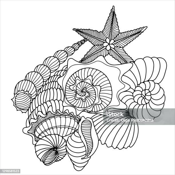Shells I Could Color In Shells Coloring Vector Stock Illustration - Download Image Now - Animal ...