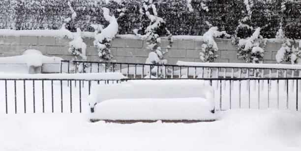 istock clean white snow print of snow covered bench with railing and plants 1298592024