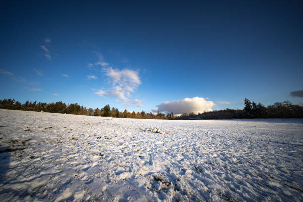 Snowing winter landscape in Germany Schlangenbad
