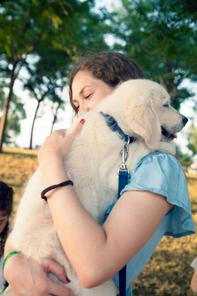 cachorro golden retriever en los brazos de su dueño - face to face twilight togetherness vertical fotografías e imágenes de stock