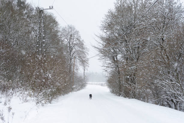 istock A small town during heavy snow fall (Bakonybel Hungary) 1298600336