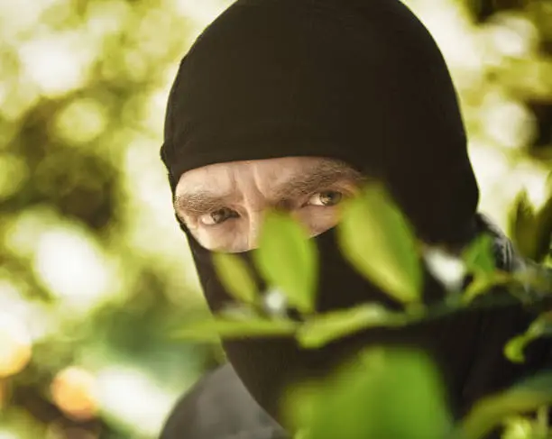 Photo of Scary man masked by black balaclava hides behind a bush giving you a spooky stare