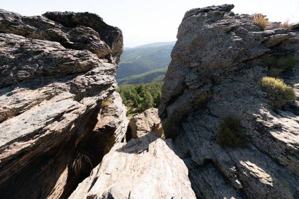 Rock formation in Sierra Nevada, there are bushes and pine forest, the sky is clear
