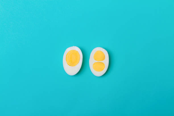 Two halves of a chicken egg on a blue background. Two yolks and one yolk in an egg stock photo