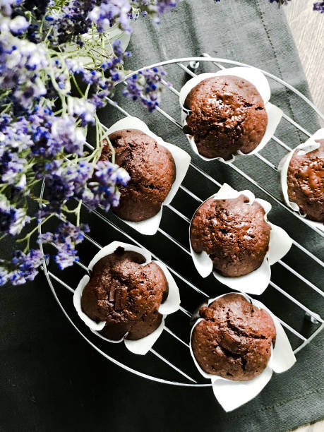 muffin vegani al cioccolato - vegan food cake muffin chocolate foto e immagini stock