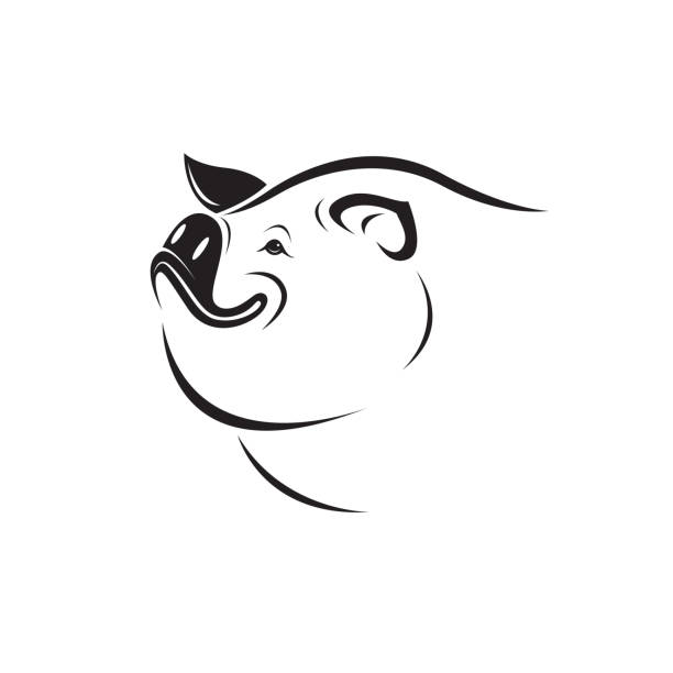 Ilustración de Vector De Un Diseño De Cabeza De Cerdo Sobre Fondo Blanco Animal De Granja Fácil Ilustración Vectorial En Capas Editable y más Vectores Libres de Derechos de Alimento - iStock Ilustración de Vector De Un Diseño De Cabeza De Cerdo Sobre Fondo Blanco Animal De Granja Fácil Ilustración Vectorial En Capas Editable y más Vectores Libres de Derechos de Alimento - iStock