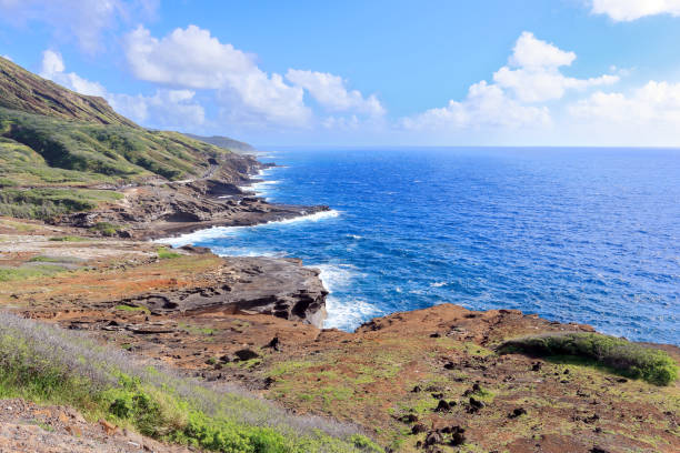 istock Beautiful Hawaiian landscape 1298614310