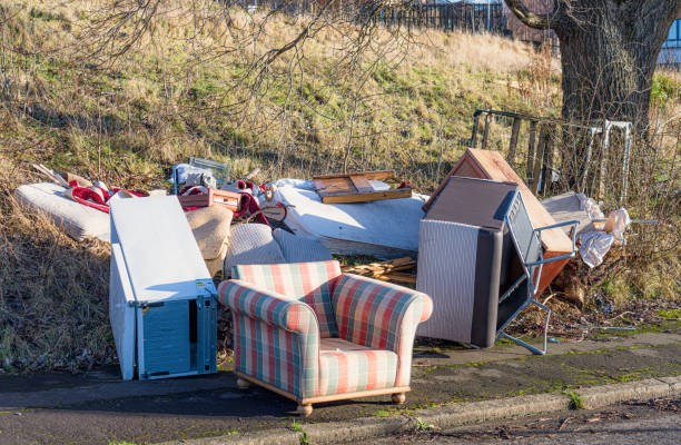 basculement des mouches en bordure de rue - unloading photos et images de collection