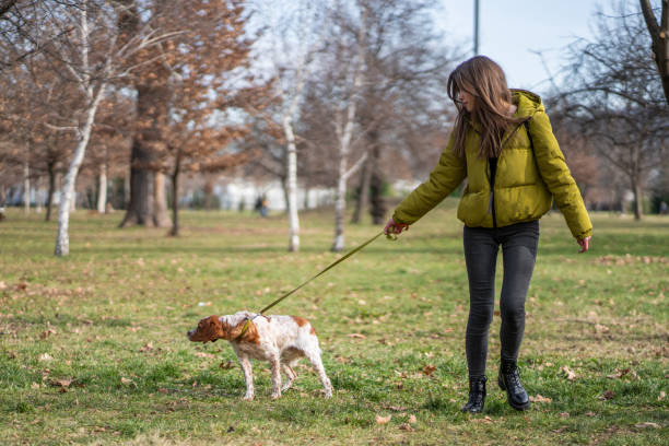 istock Woman walking with her untrained dog through park while dog pulling leash 1298618792