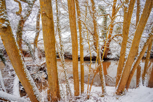 Canal captured during snowfall in winter