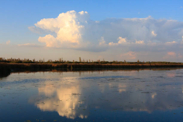 istock Cloud reflection at the Federsee in Oberschwaben 1298624257