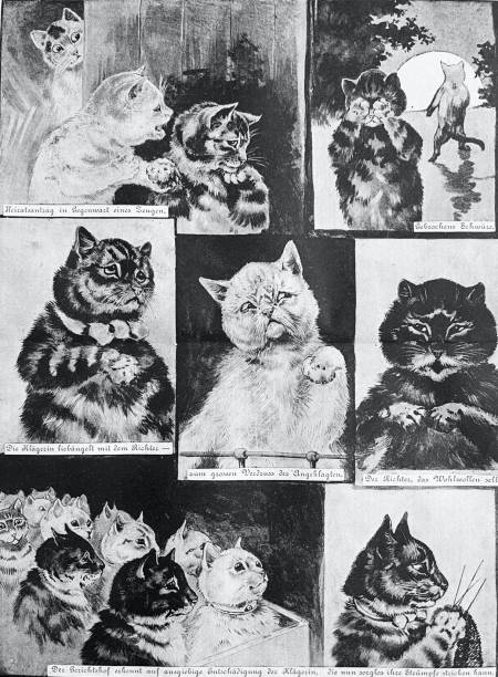 A couple of cats are getting a divorce Illustration from 19th century lawyer cartoon stock illustrations