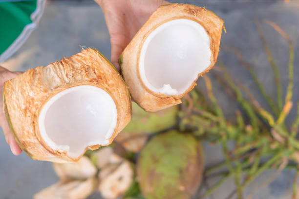 ココナッツの中の純粋な白いコ�コナッツ肉。 - palm people white brown ストックフォトと画像