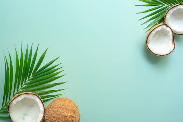 Tropical green palm leaf and cracked coconut on Green background.
