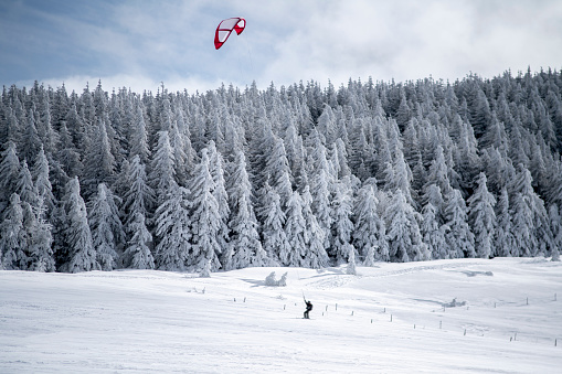evolution of a snowkite in front of a snowy forest