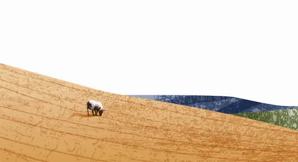 Vector illustration of Grunge hills with sheep