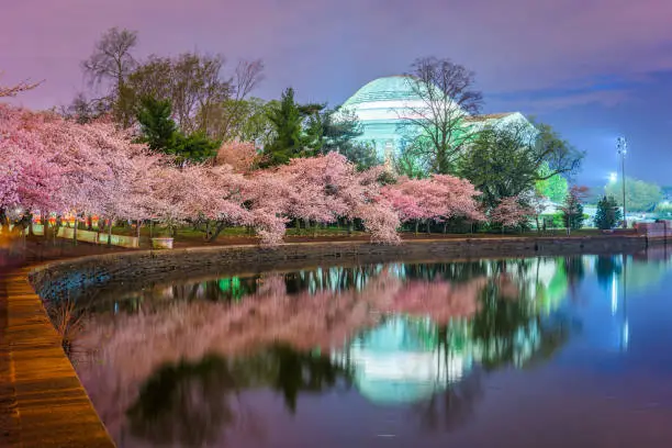 Photo of Washington, DC at the Jefferson Memorial During Spring Season
