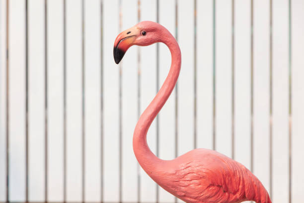 Flamingo birds figurehead in White color House fence.