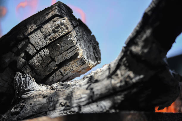 istock dry logs are burning in fire - wallpaper 1298635778