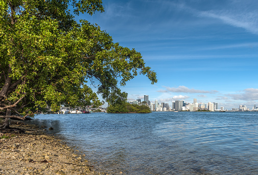 A peaceful morning's view of Downtown Miami and its bridges, from a distance on Key Biscayne, Miami.