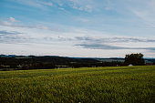 landschaft-in-der-schweiz.jpg?b=1&s=170x170&k=20&c=Mg-aphDKzysuYx5yTJYBQ_hPouOYFI7v1PxRYqzU9Ko=
