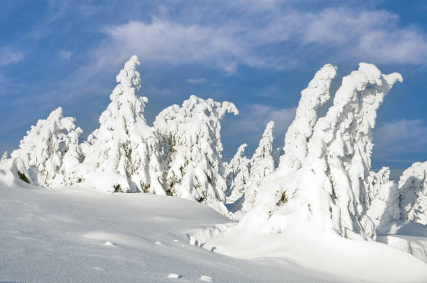 istock Landscape on Brocken Mountain,Harz Mountain,Germany 1298647501